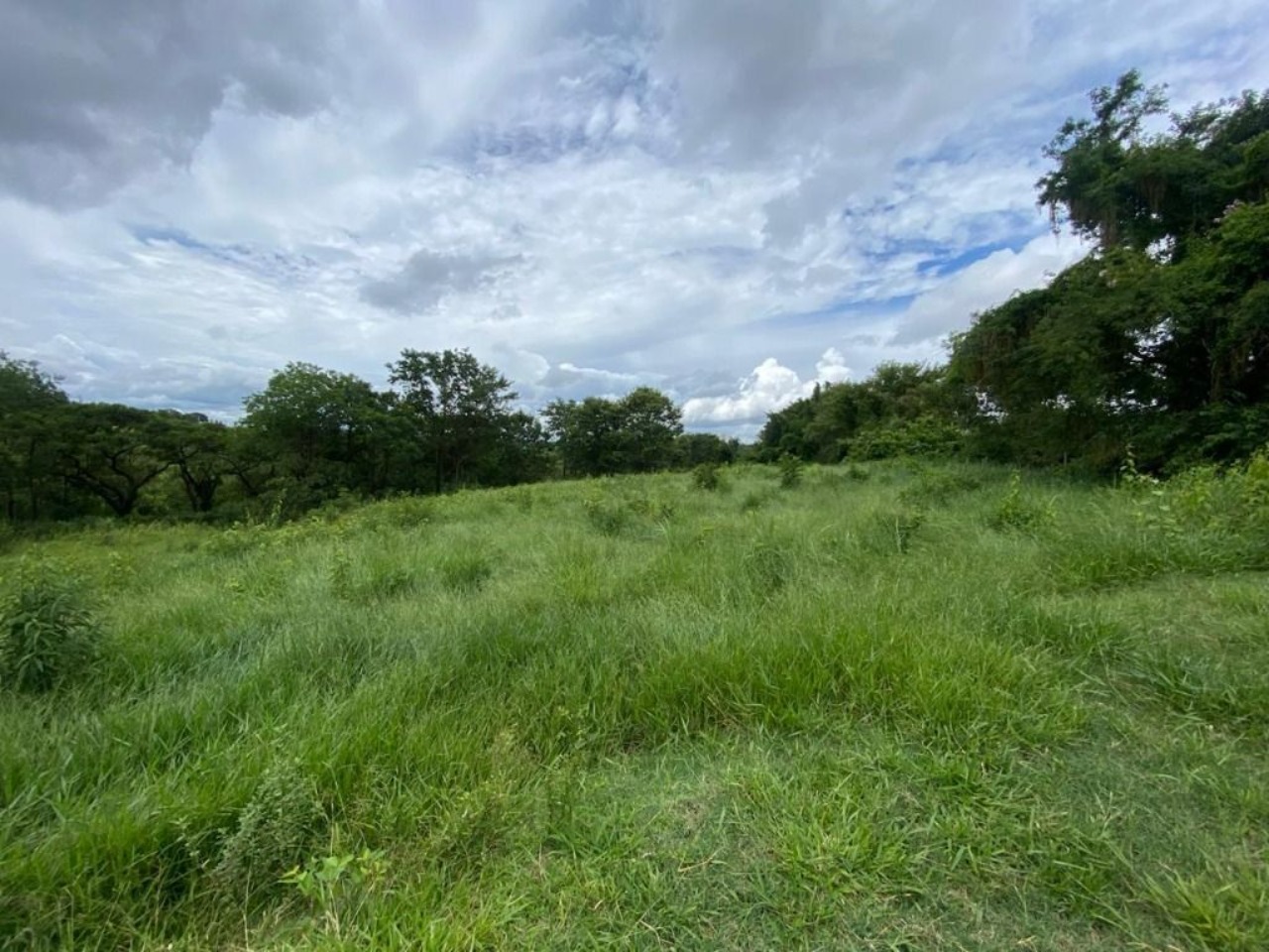 Terreno, 7000 m² - Foto 1