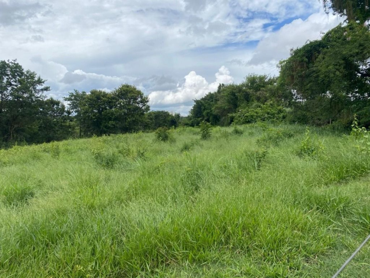 Terreno, 7000 m² - Foto 7