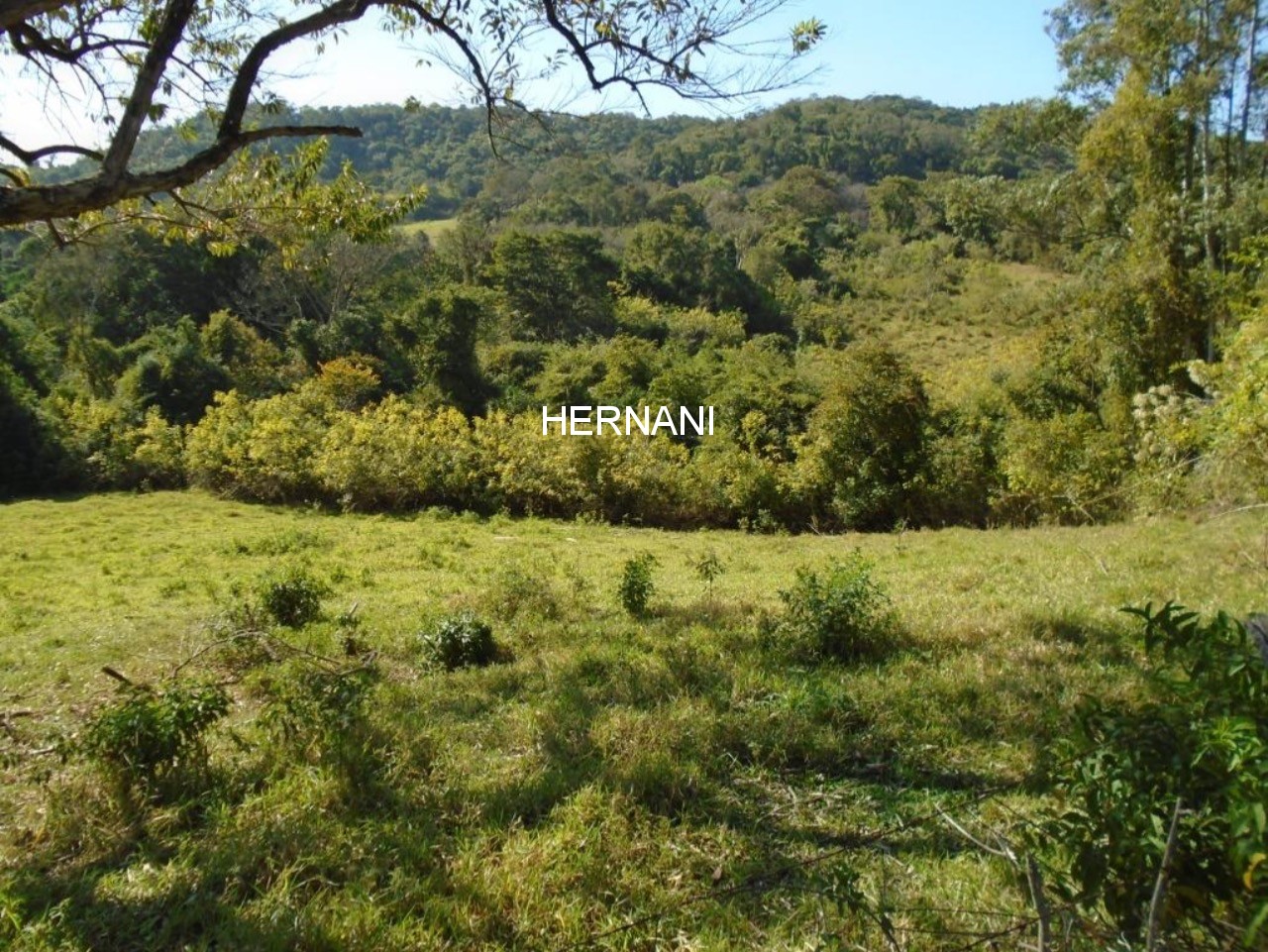 Sítio, 34 hectares - Foto 17