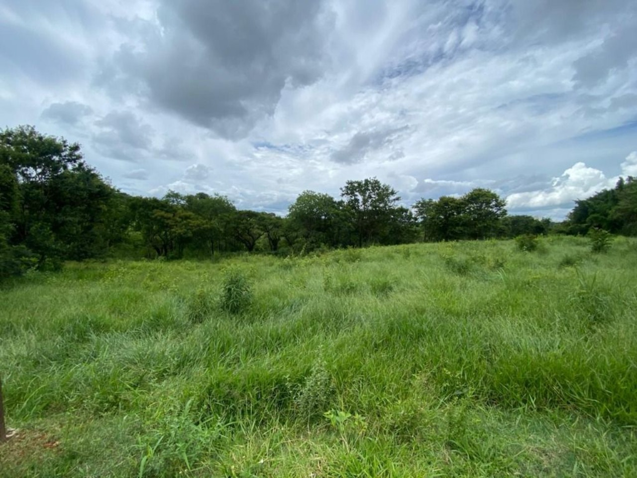 Terreno, 7000 m² - Foto 2