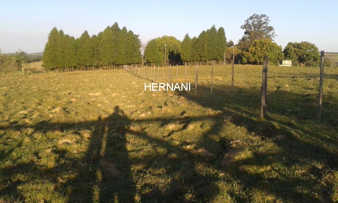 Sítio, 18 hectares - Foto 40