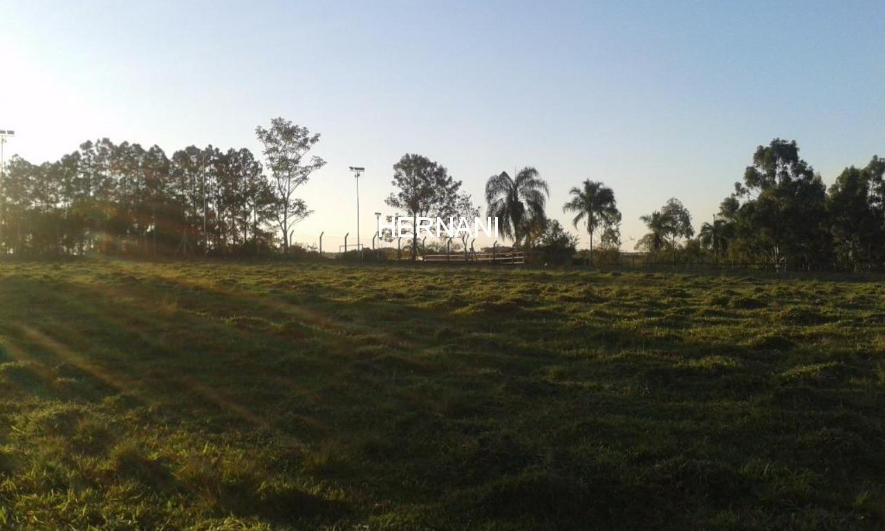 Sítio, 18 hectares - Foto 33