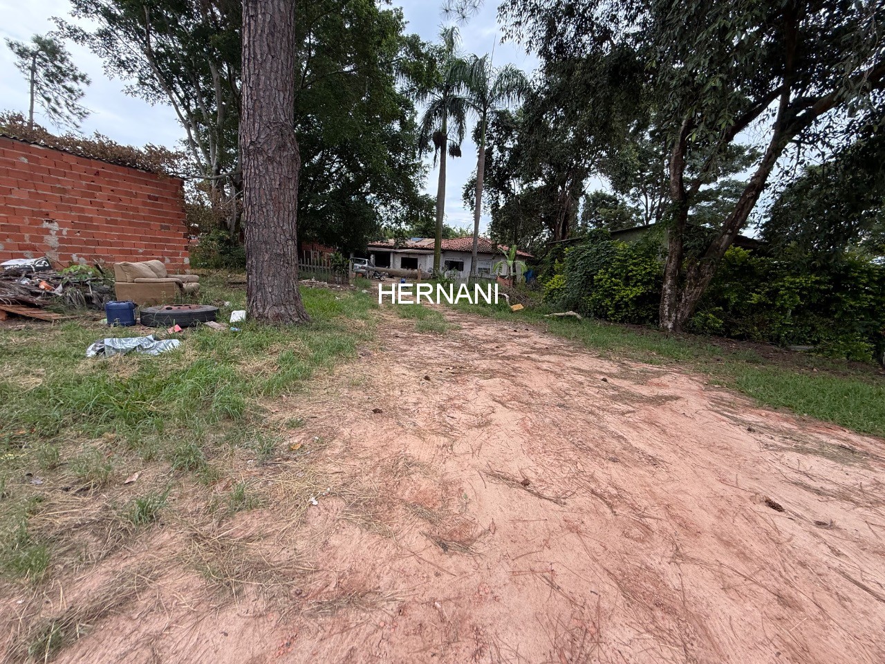 Terreno, 2 hectares - Foto 22