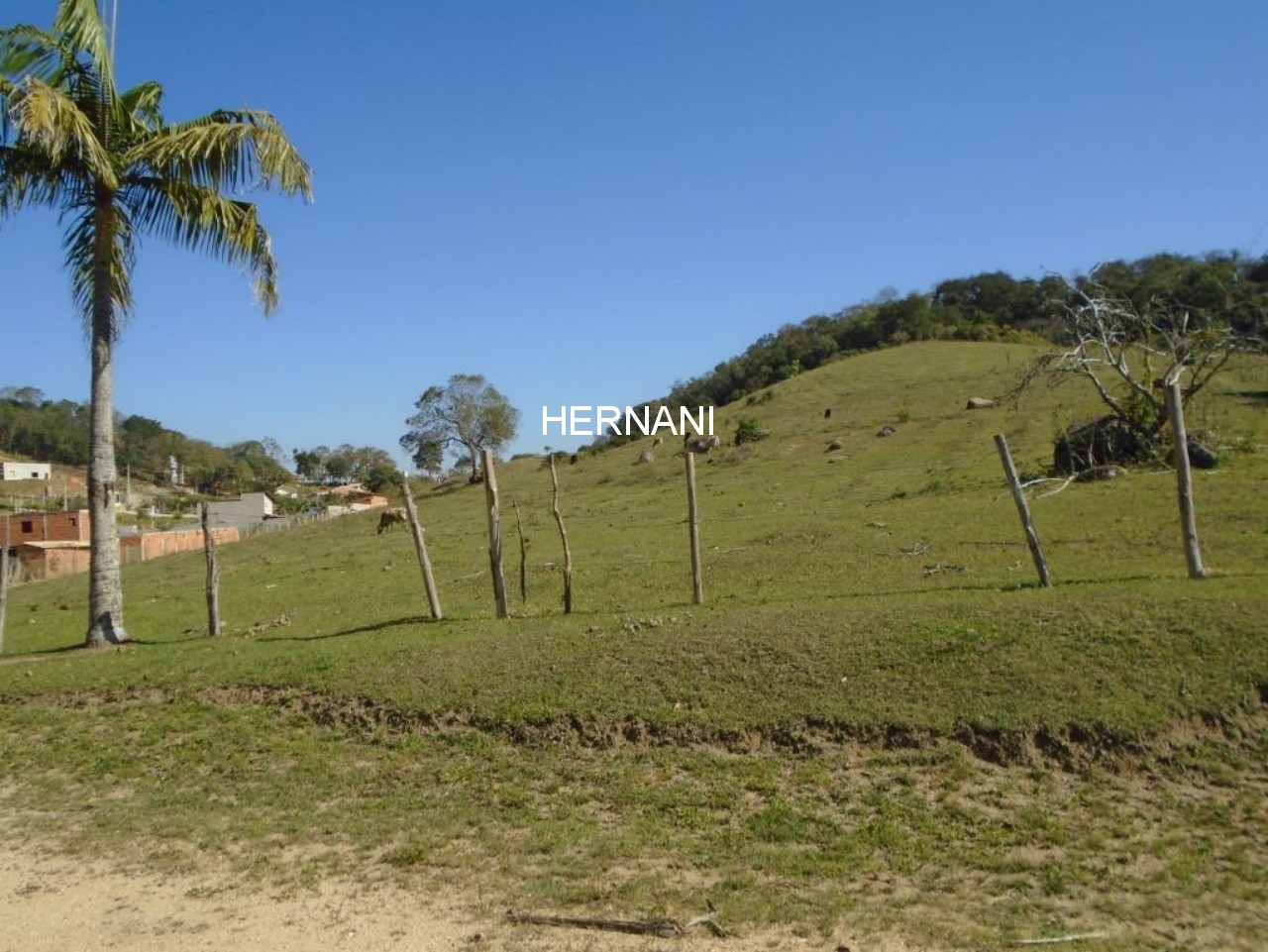 Sítio, 34 hectares - Foto 3
