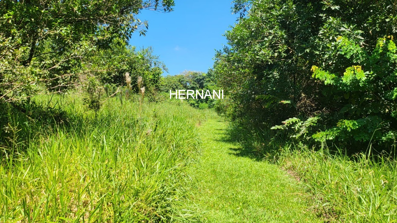 Sítio, 7 hectares - Foto 18