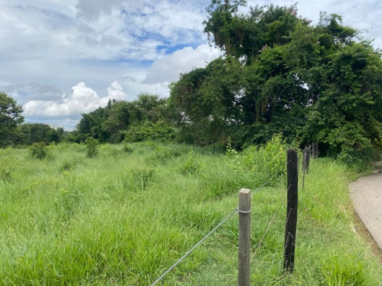 Terreno, 7000 m² - Foto 8
