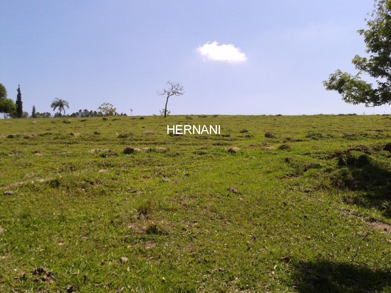Sítio, 18 hectares - Foto 17
