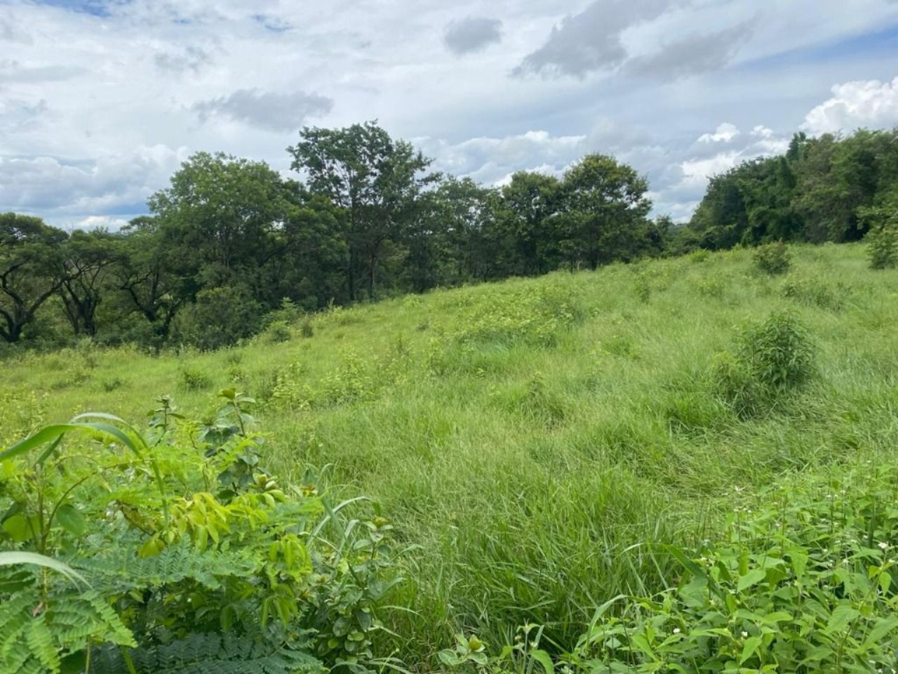 Terreno, 7000 m² - Foto 6