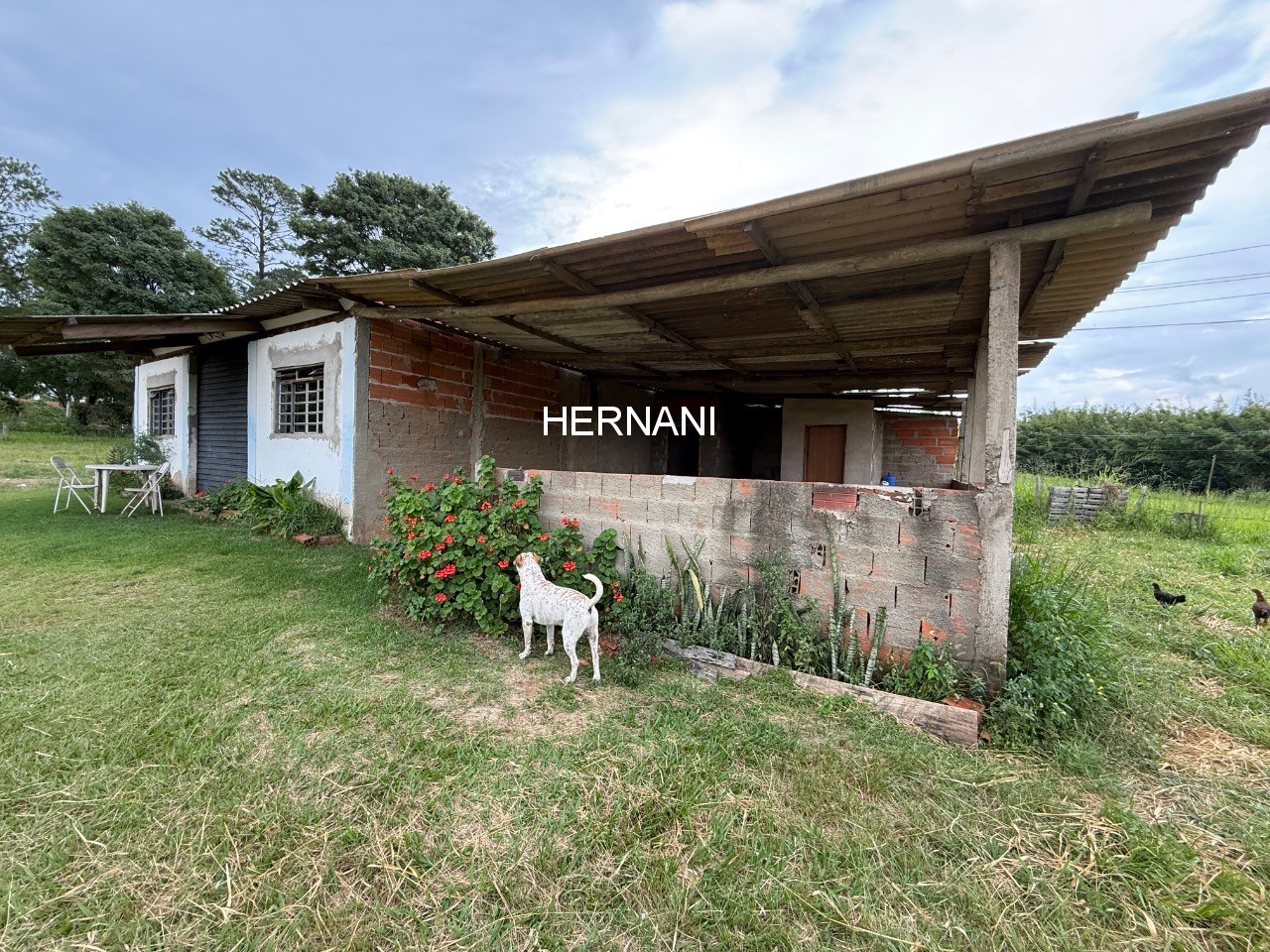 Terreno, 2 hectares - Foto 12