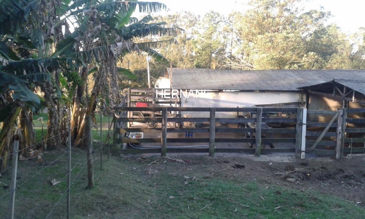Sítio, 18 hectares - Foto 48