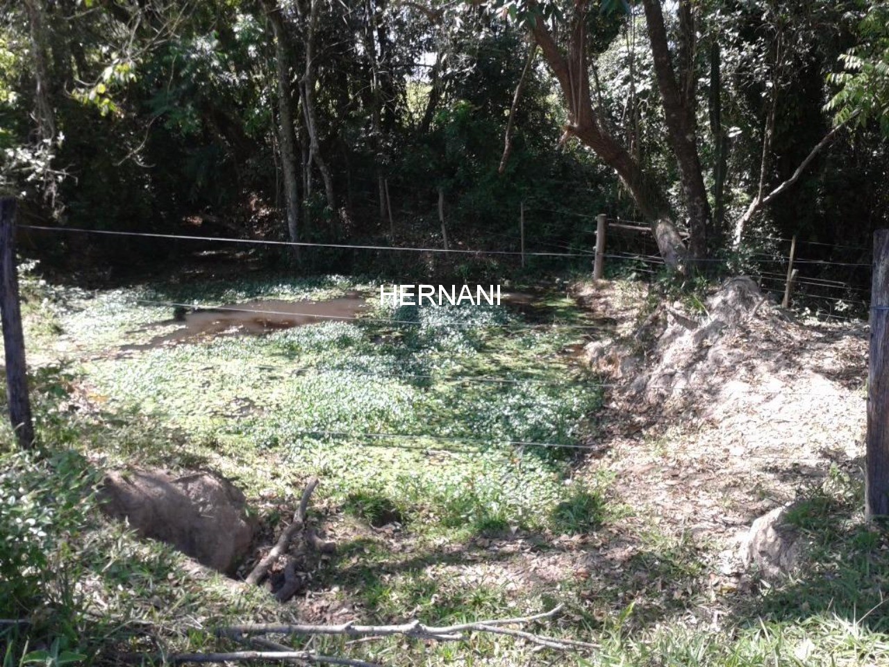 Sítio, 18 hectares - Foto 18