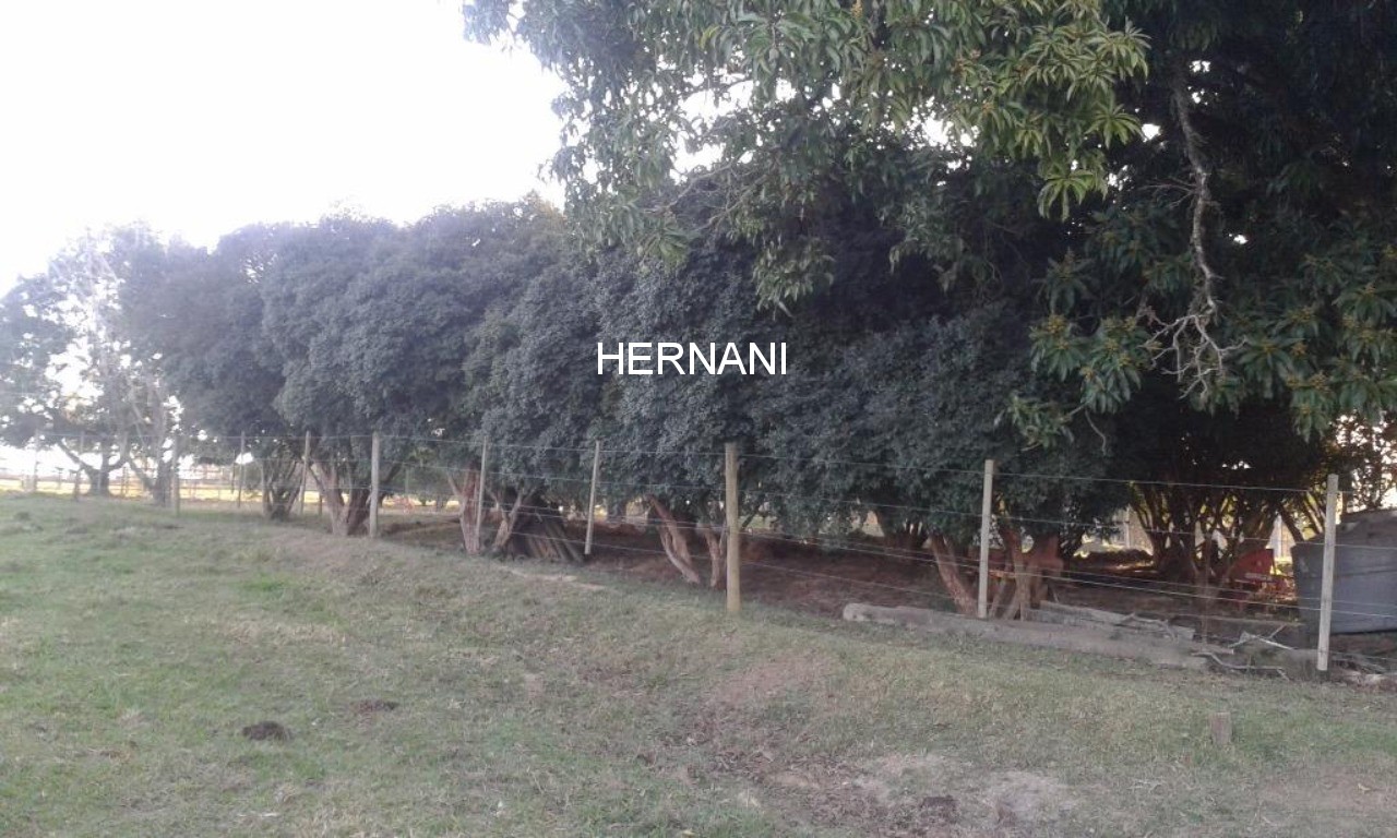 Sítio, 18 hectares - Foto 46
