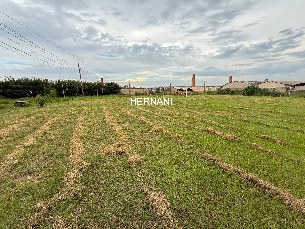 Terreno, 2 hectares - Foto 9