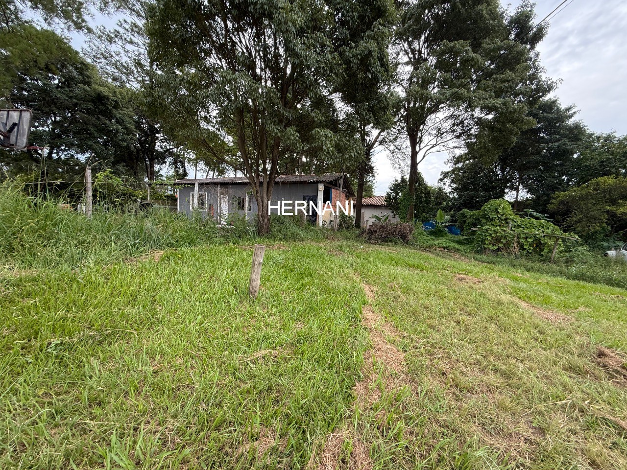 Terreno, 2 hectares - Foto 15