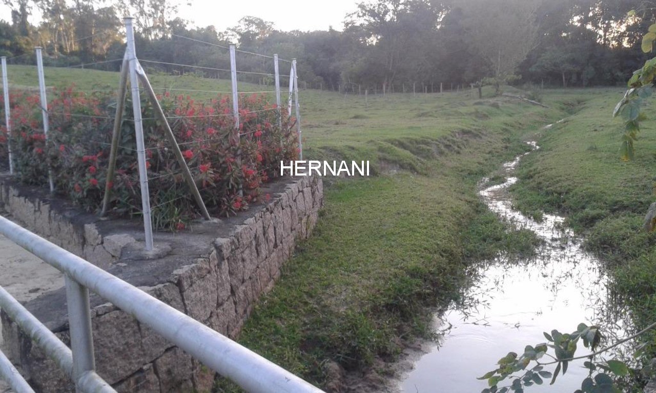 Sítio, 18 hectares - Foto 19