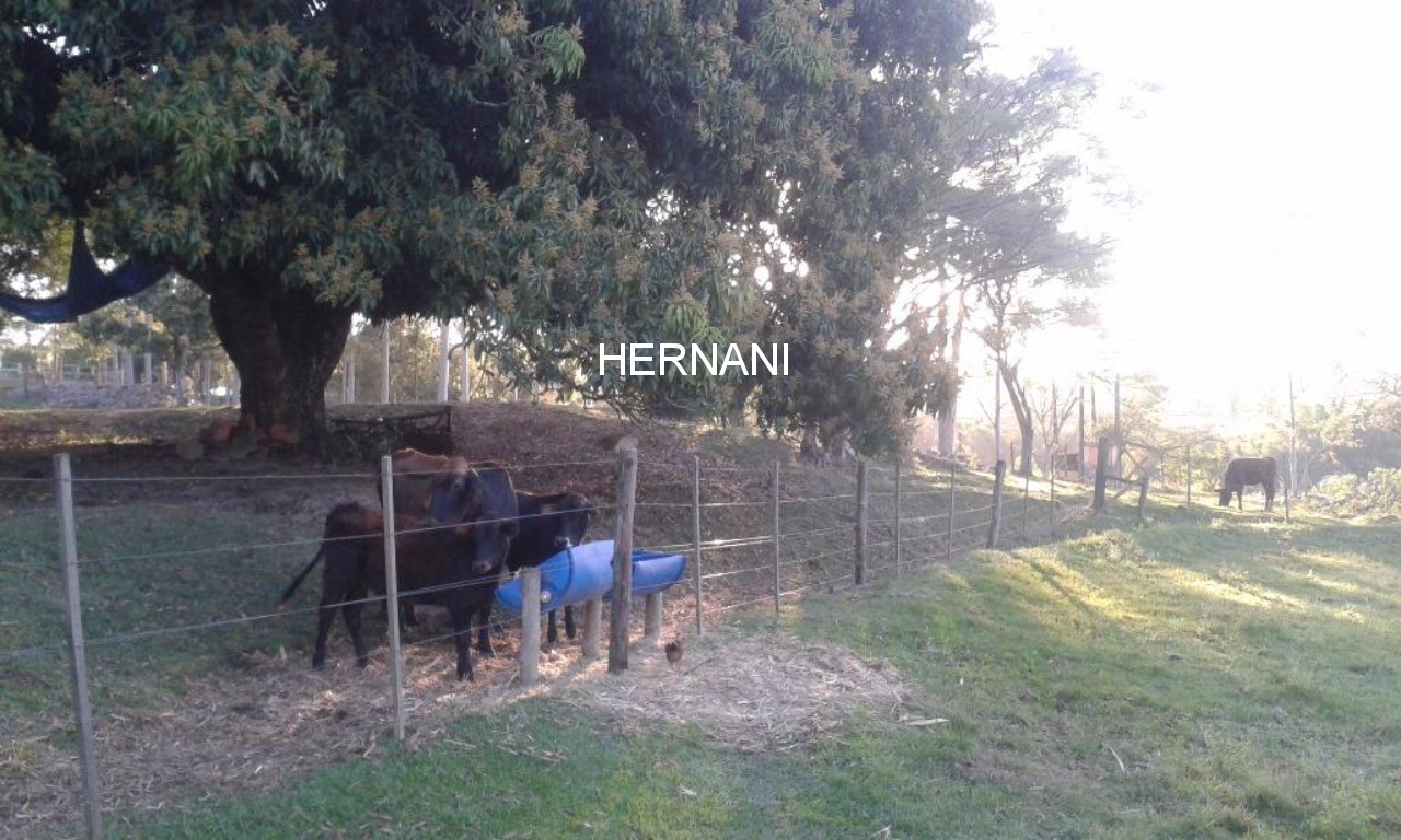 Sítio, 18 hectares - Foto 49