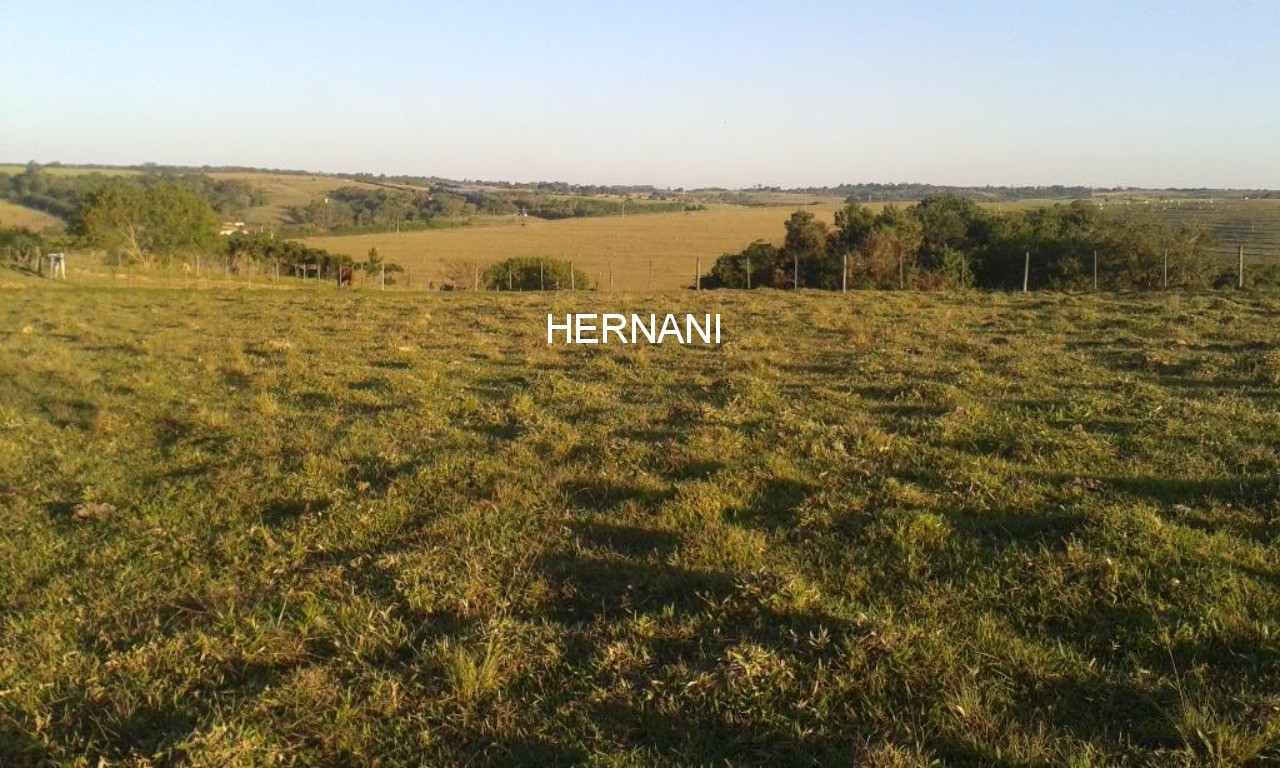 Sítio, 18 hectares - Foto 3