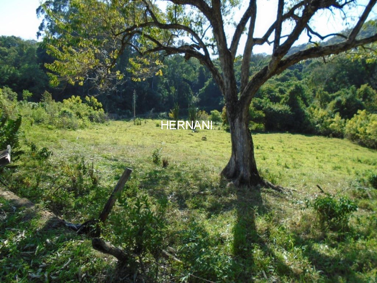 Sítio, 34 hectares - Foto 16