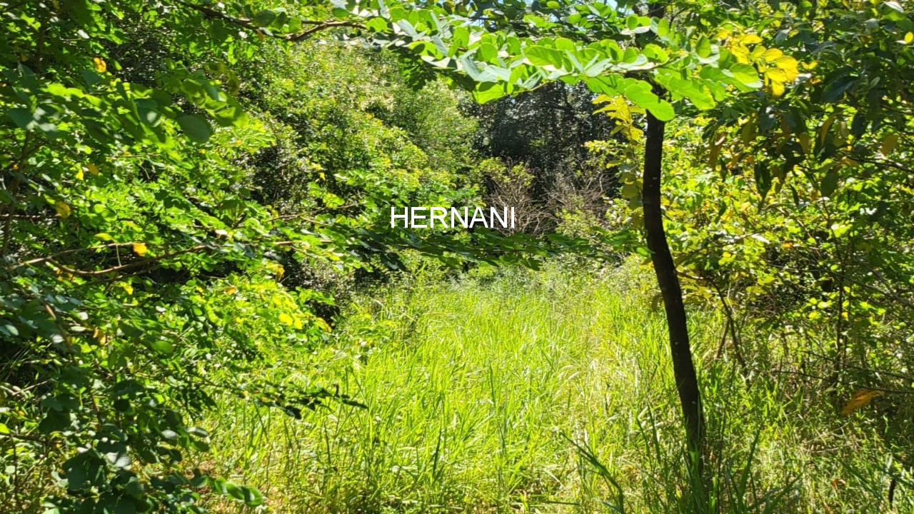 Sítio, 7 hectares - Foto 49