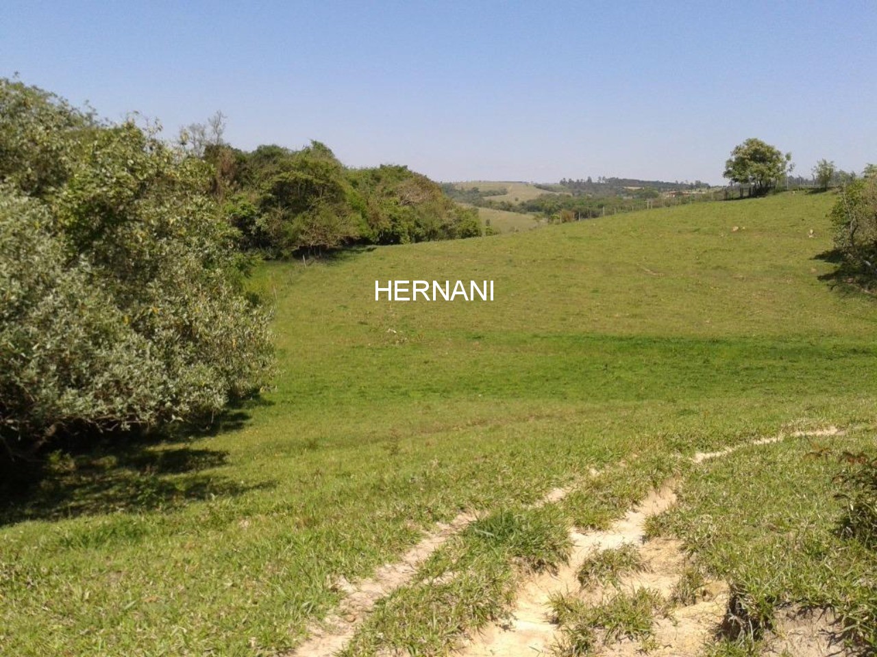 Sítio, 18 hectares - Foto 14