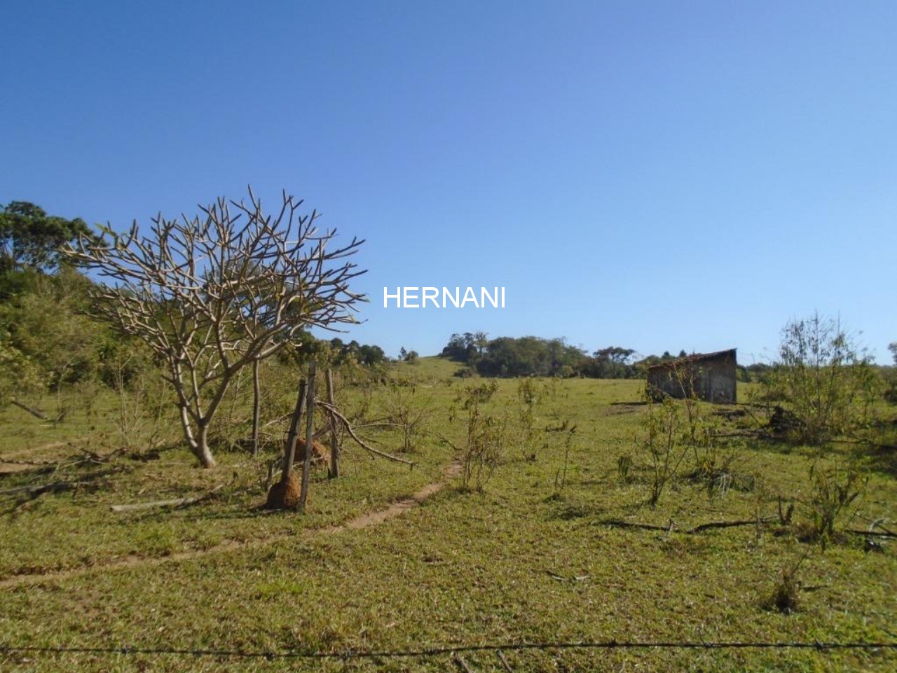 Sítio, 34 hectares - Foto 6