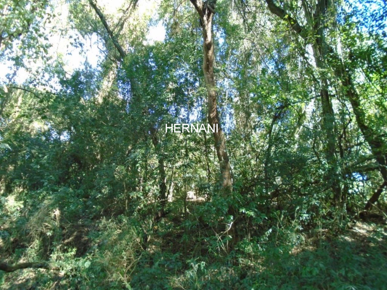 Sítio, 34 hectares - Foto 8