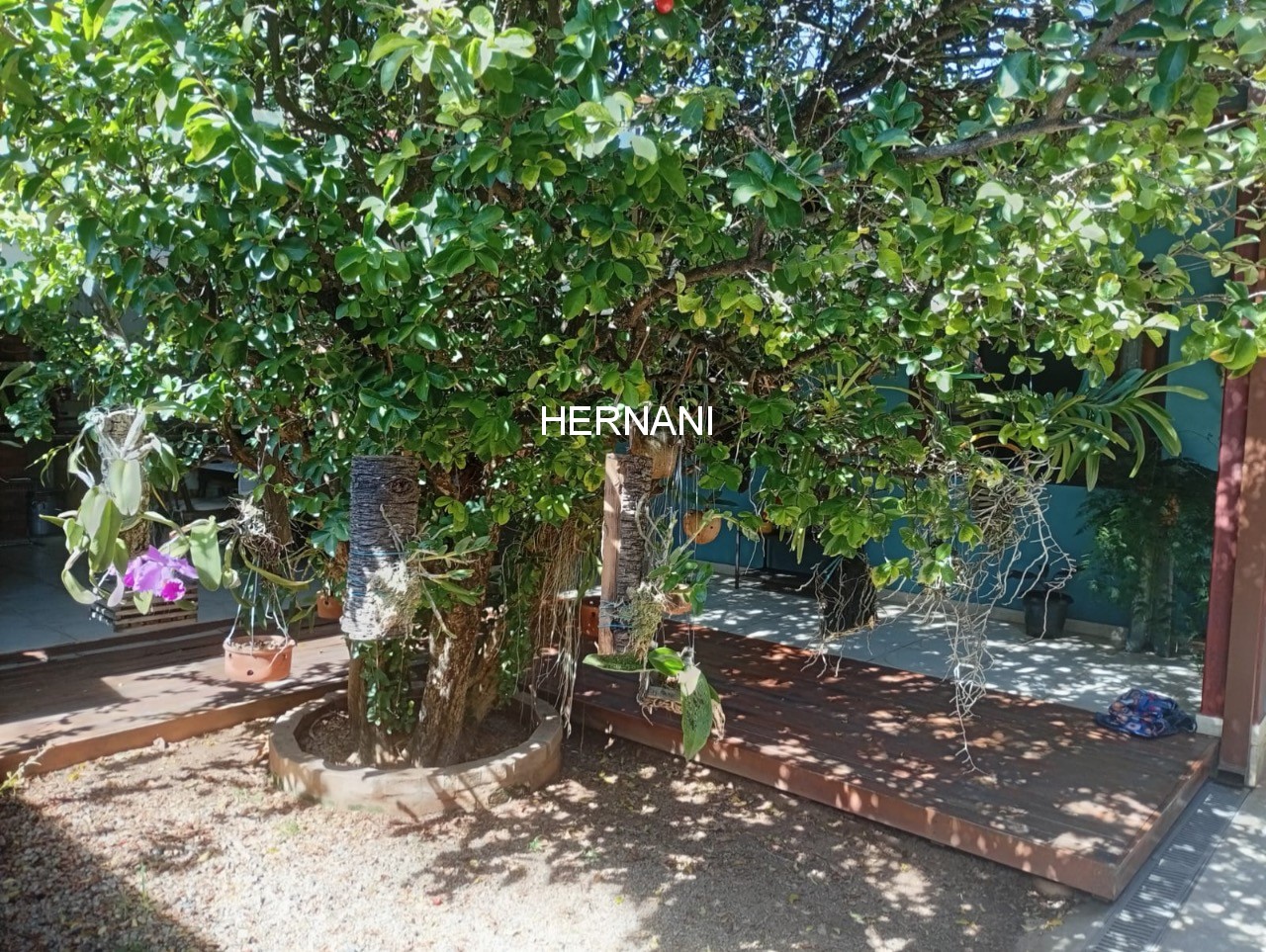 Casa, 3 quartos, 350 m² - Foto 20