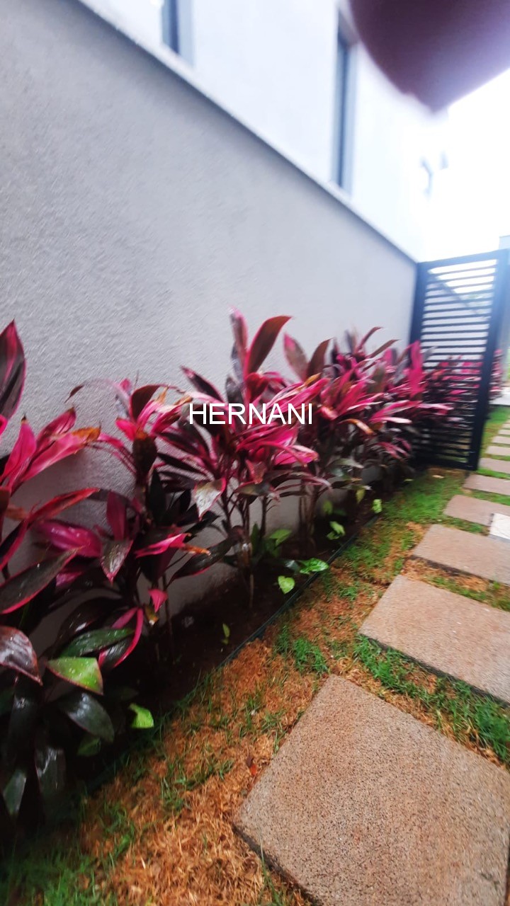 Casa, 3 quartos, 447 m² - Foto 13