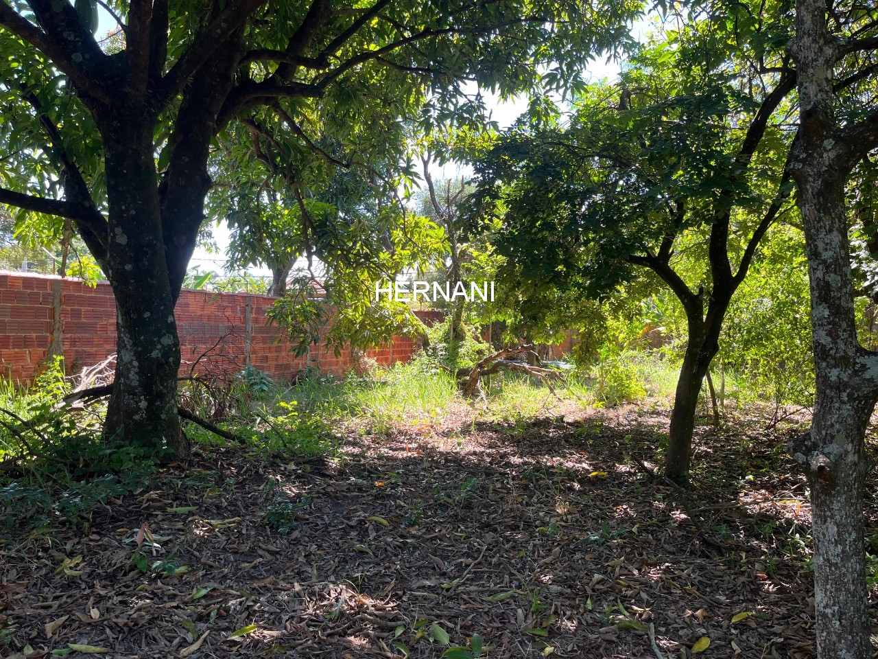 Chácara, 937 m² - Foto 4