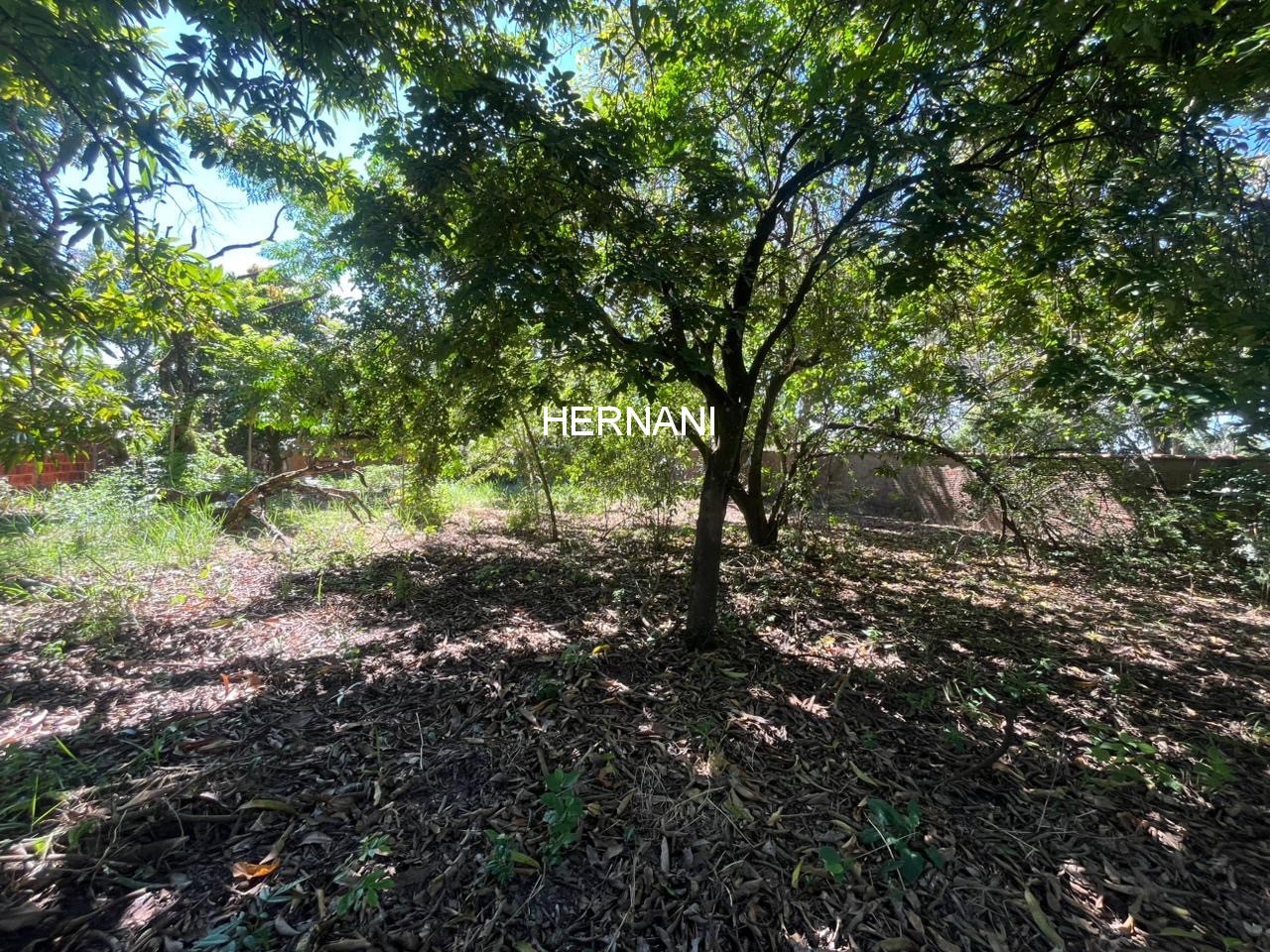 Chácara, 937 m² - Foto 11