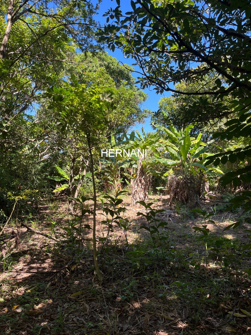 Chácara, 937 m² - Foto 6