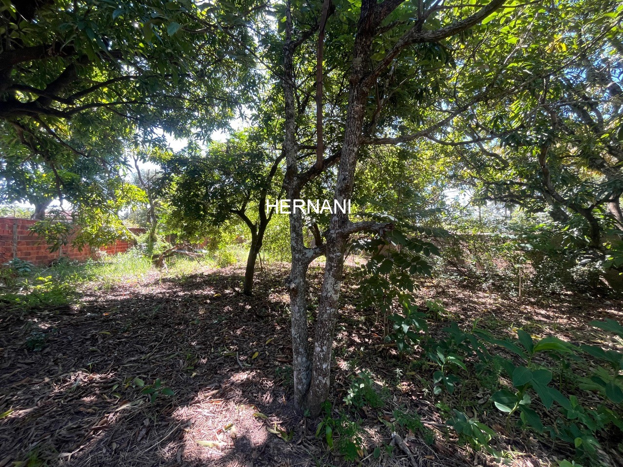 Chácara, 937 m² - Foto 12