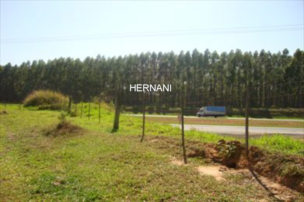 Terreno, 9 hectares - Foto 6