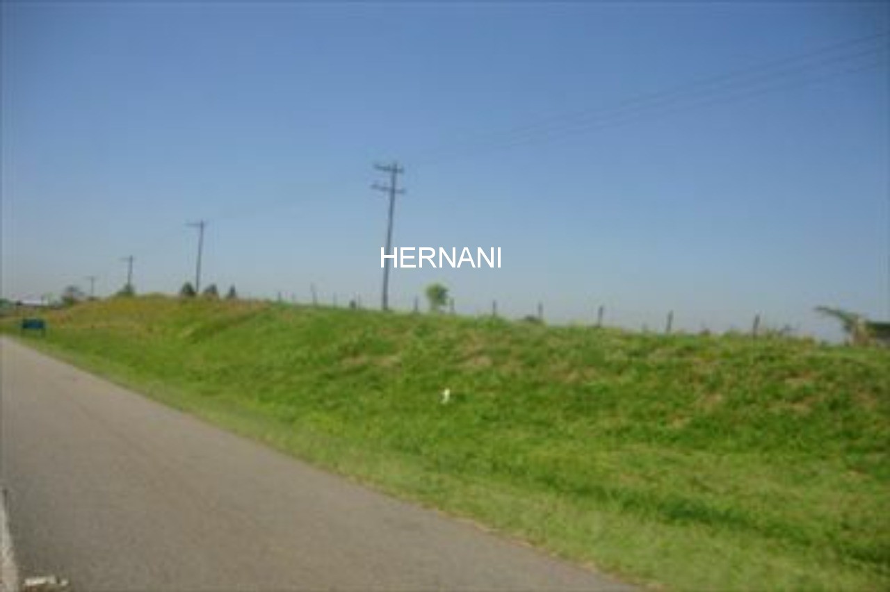Terreno, 9 hectares - Foto 4