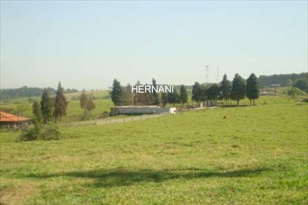 Terreno, 9 hectares - Foto 5