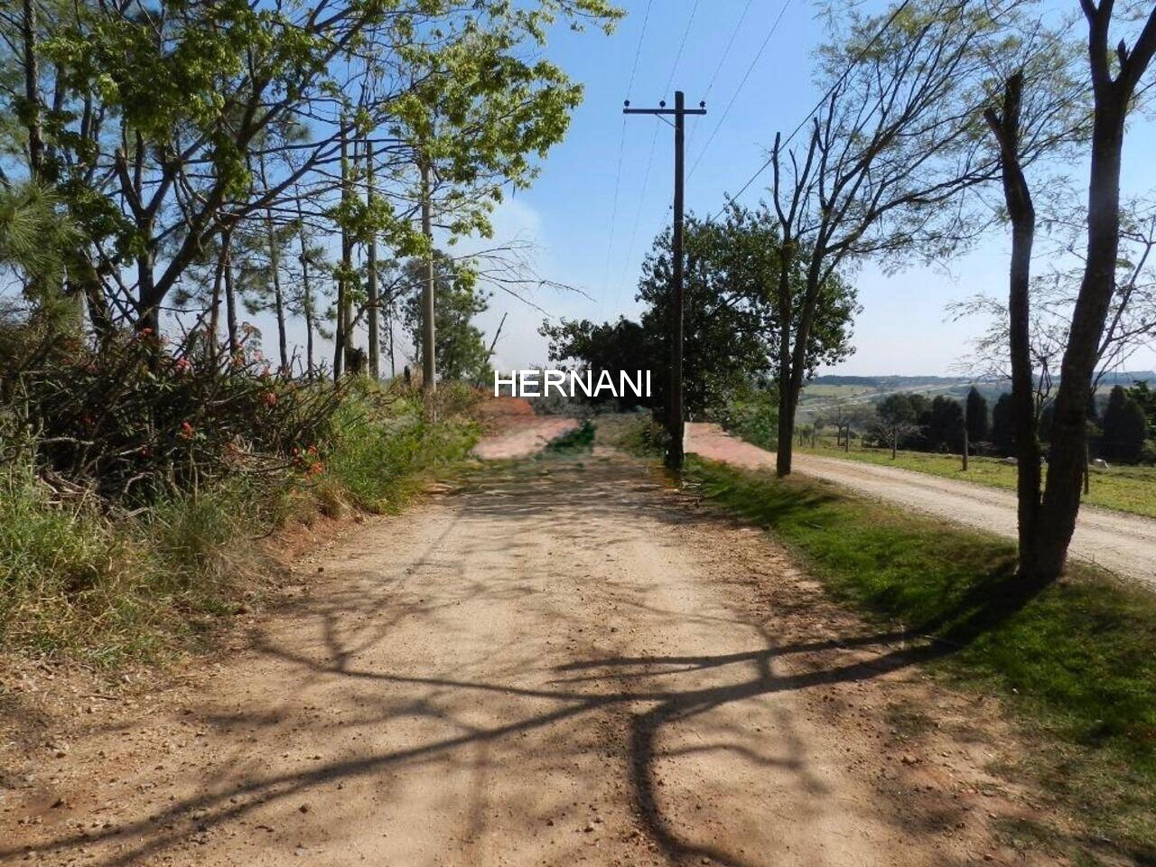 Terreno, 58 hectares - Foto 19