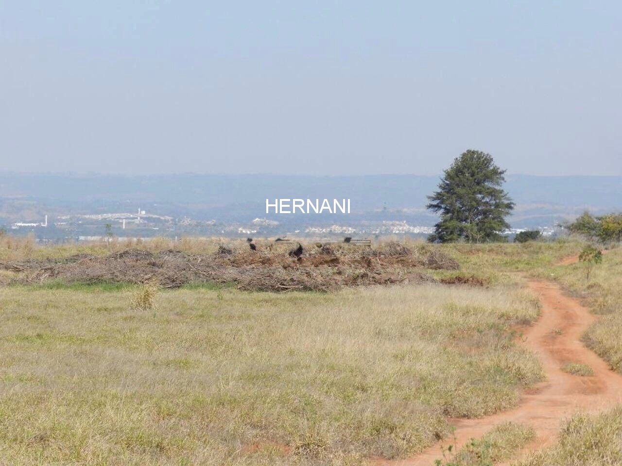 Terreno, 58 hectares - Foto 38