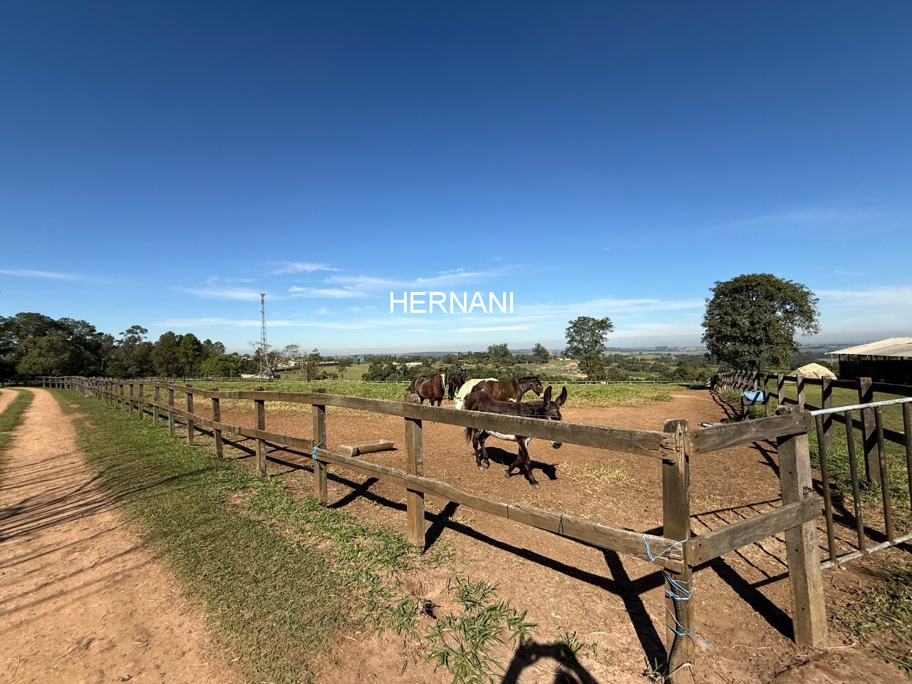 Sítio, 13 hectares - Foto 12