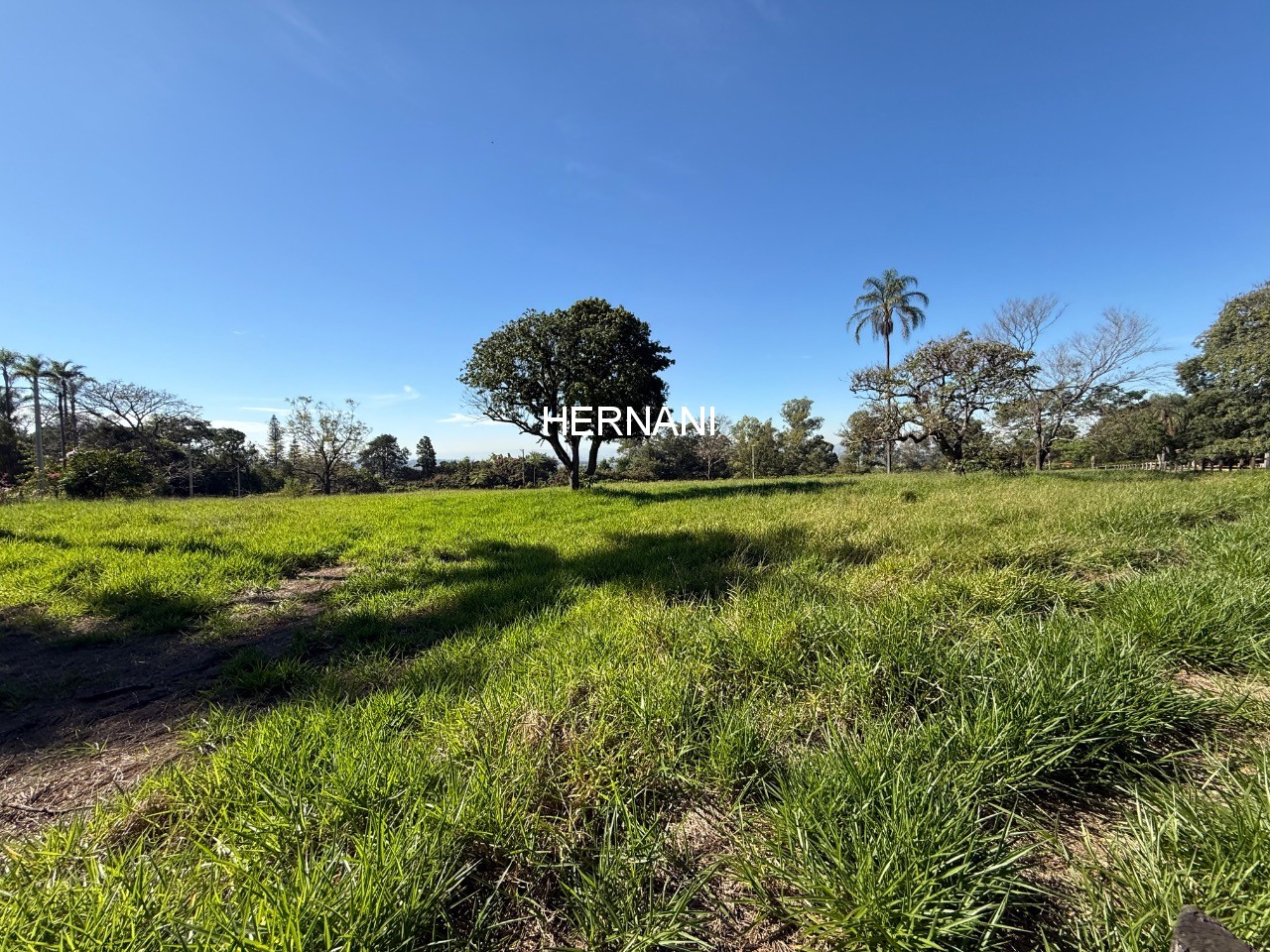 Sítio, 13 hectares - Foto 10