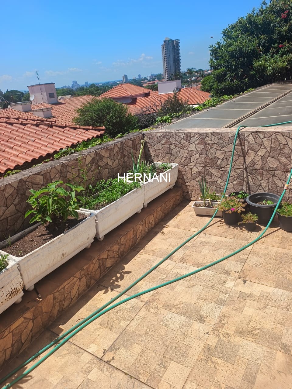 Casa, 4 quartos, 780 m² - Foto 4