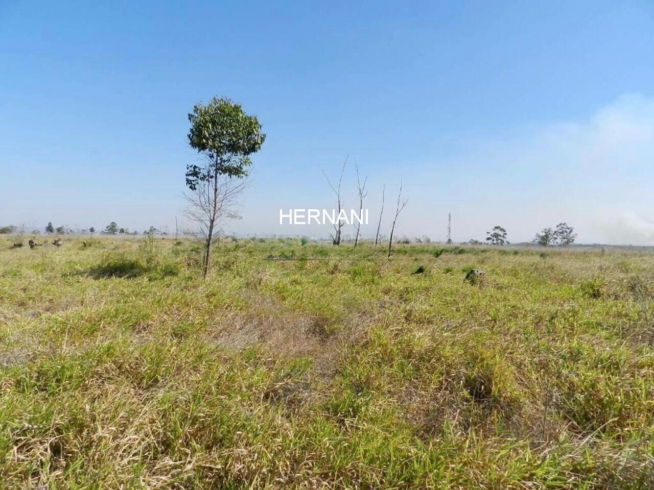 Terreno, 58 hectares - Foto 35