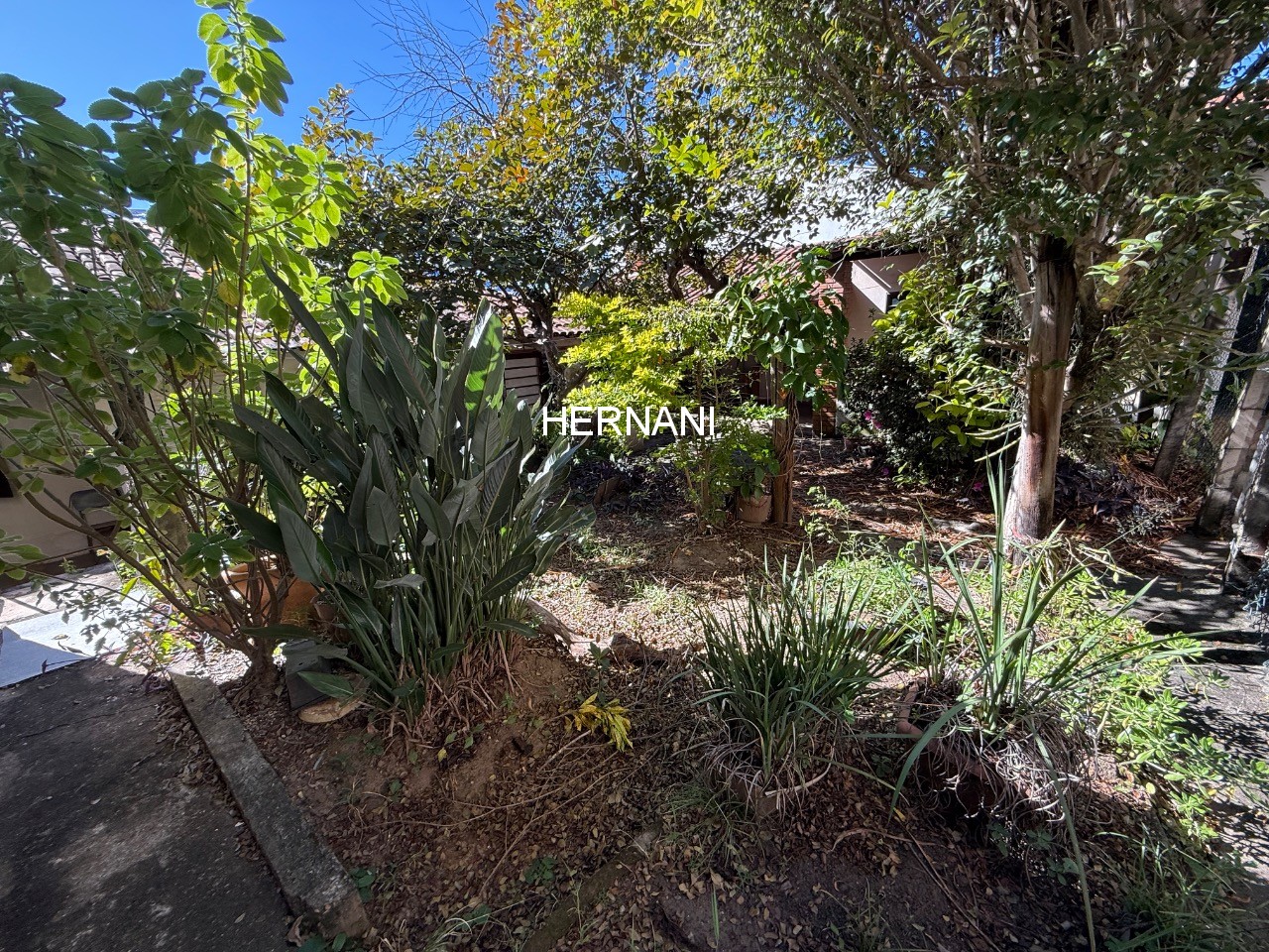 Casa, 3 quartos, 333 m² - Foto 31