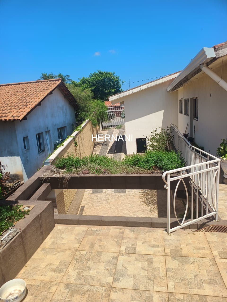 Casa, 4 quartos, 780 m² - Foto 6