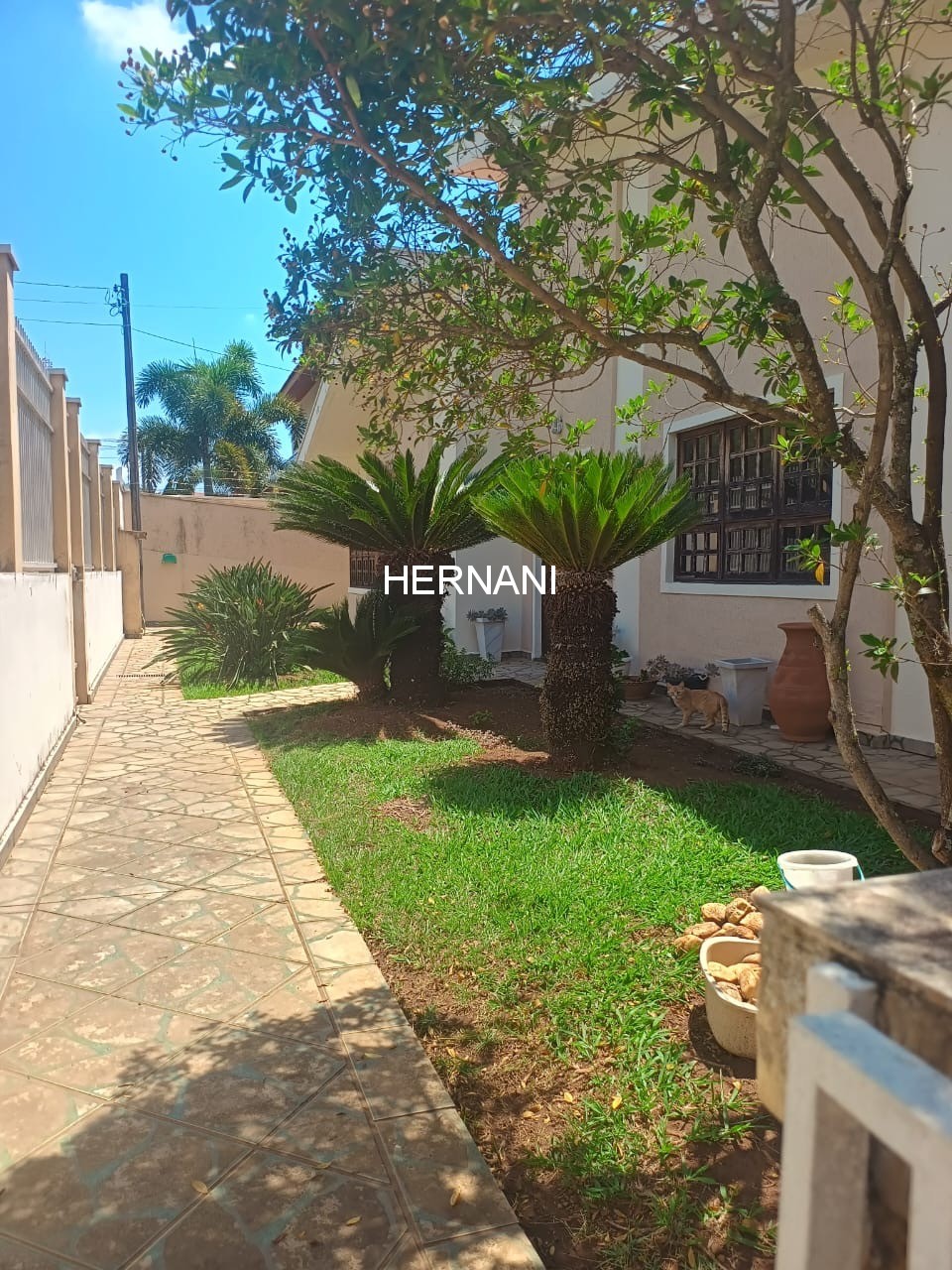 Casa, 4 quartos, 780 m² - Foto 8