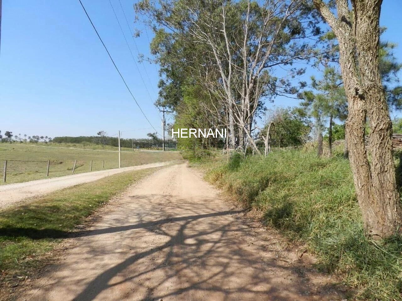 Terreno, 58 hectares - Foto 21
