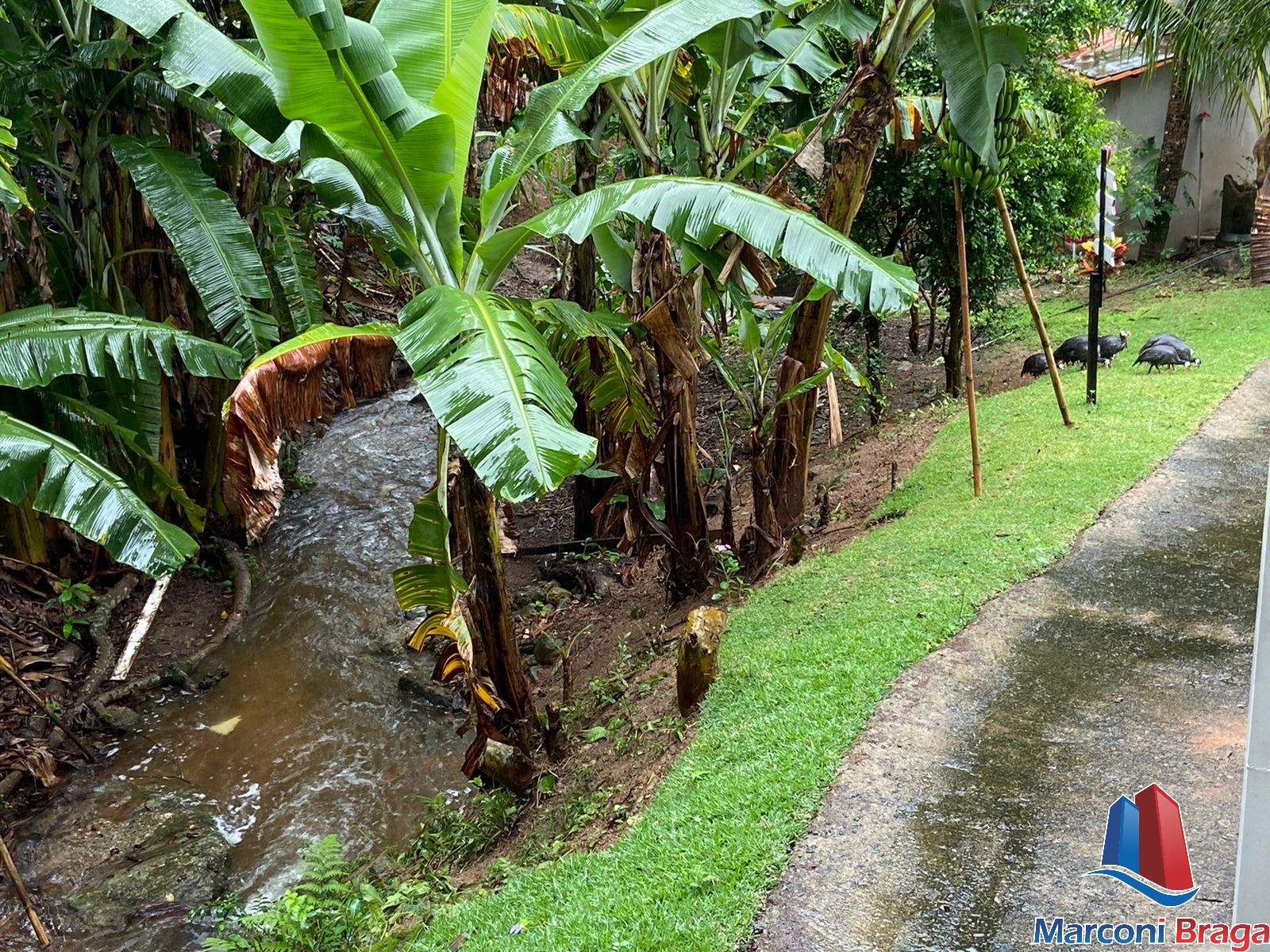 Chácara à venda com 4 quartos, 30000m² - Foto 26