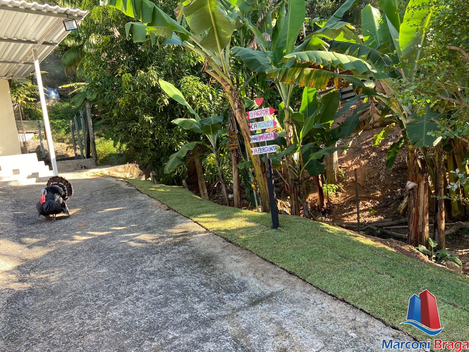 Chácara à venda com 4 quartos, 30000m² - Foto 9