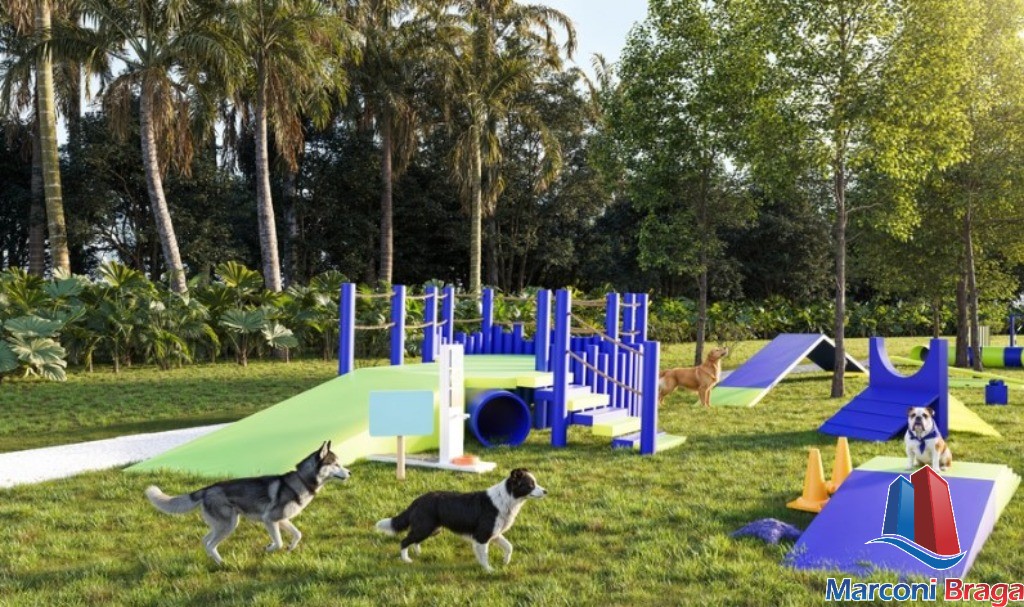 Terreno, 300 m² - Foto 6