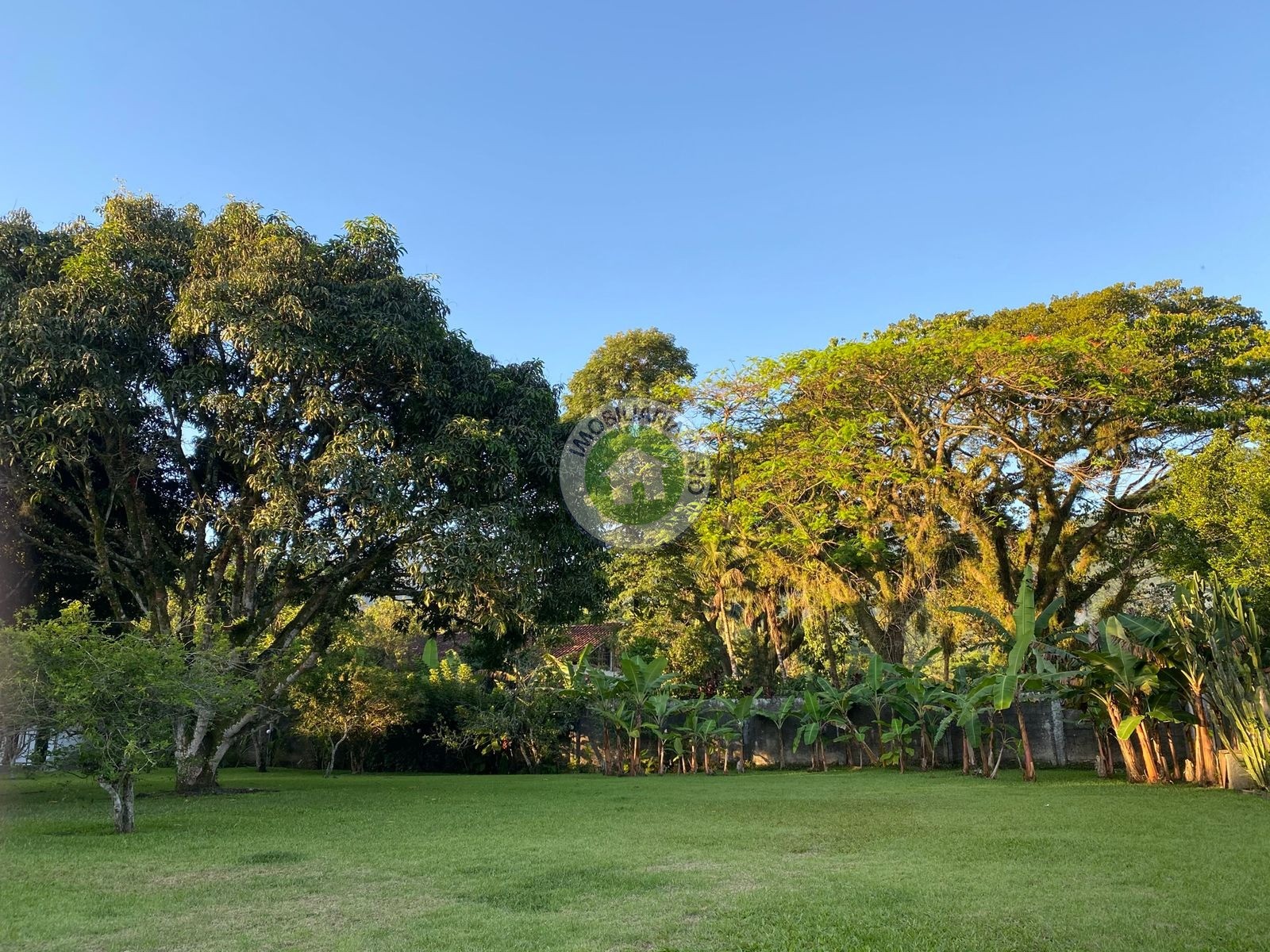 Casa à venda com 5 quartos, 3000m² - Foto 51