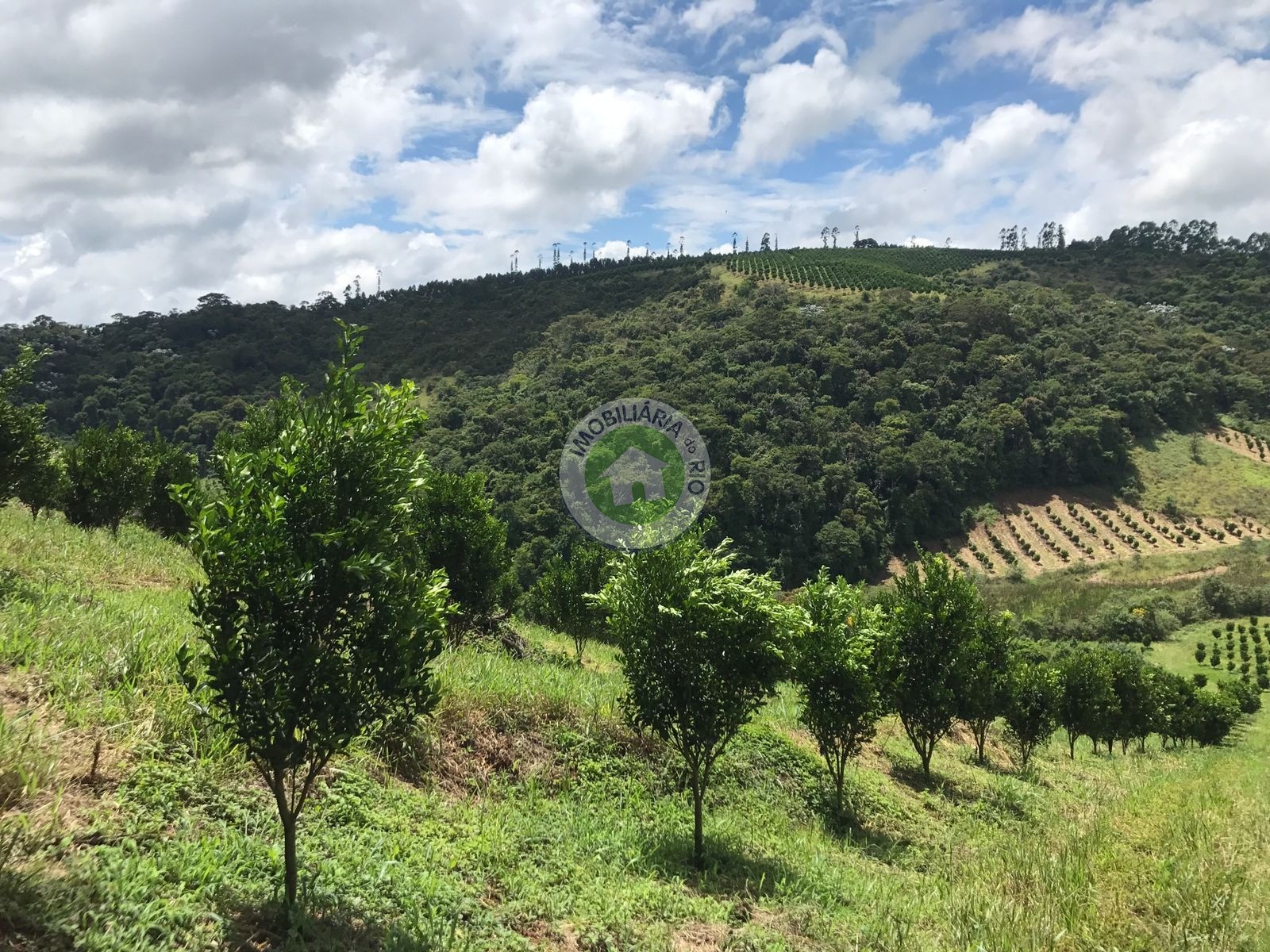 Fazenda à venda com 4 quartos, 2430000m² - Foto 6